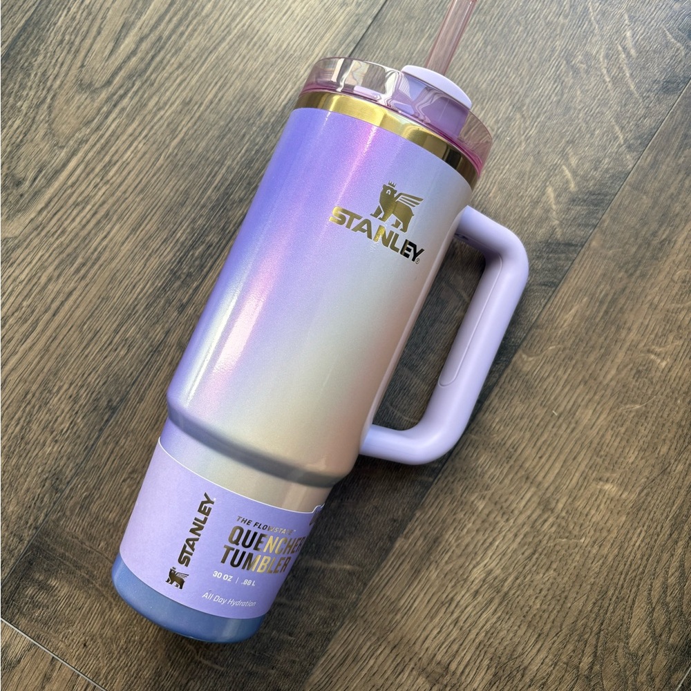 Stanley Wicked 2025 Glinda for Good 30oz Flowstate Quencher Tumbler LE NWT SO